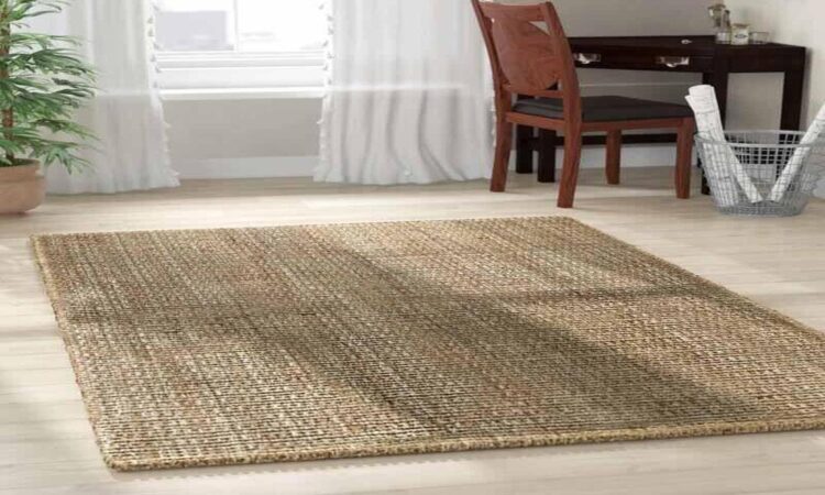 Sisal rugs and its benefits