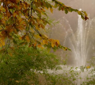 Lake Fountain