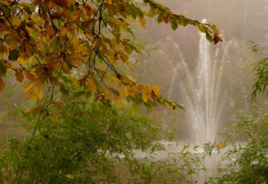 Lake Fountain