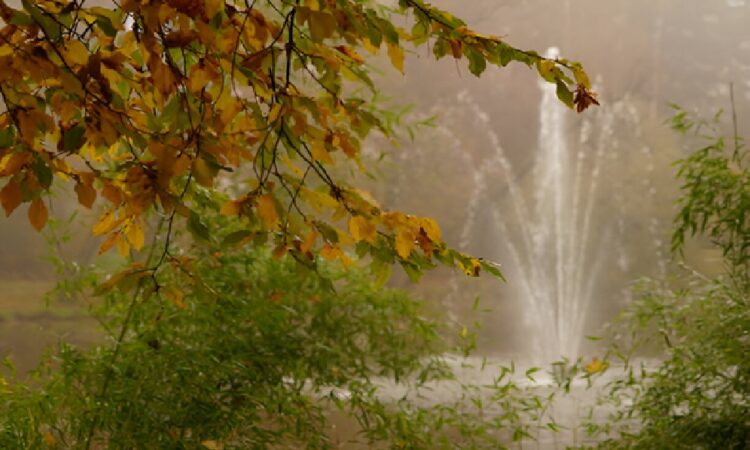 Lake Fountain