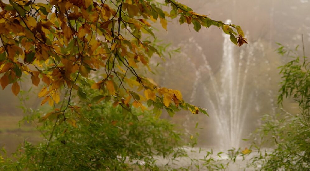 Lake Fountain