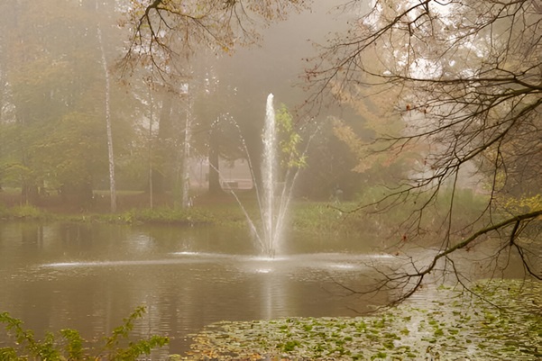 Lake Fountain