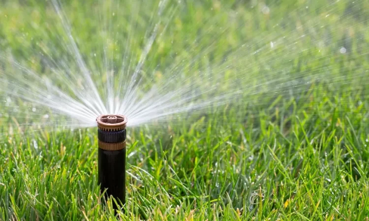Fixing Your Sprinklers